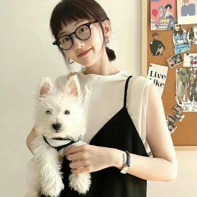 龙在边缘国语